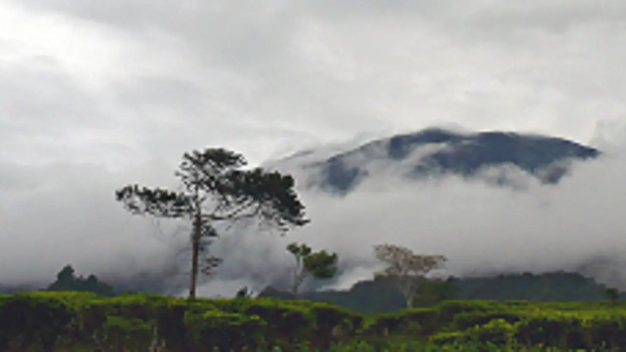 Gunung Gede