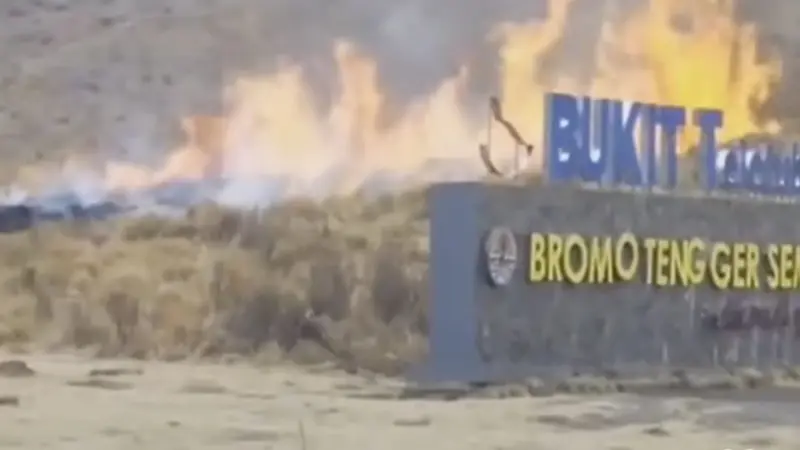 Kebakaran Bukit Teletubies Gunung Bromo