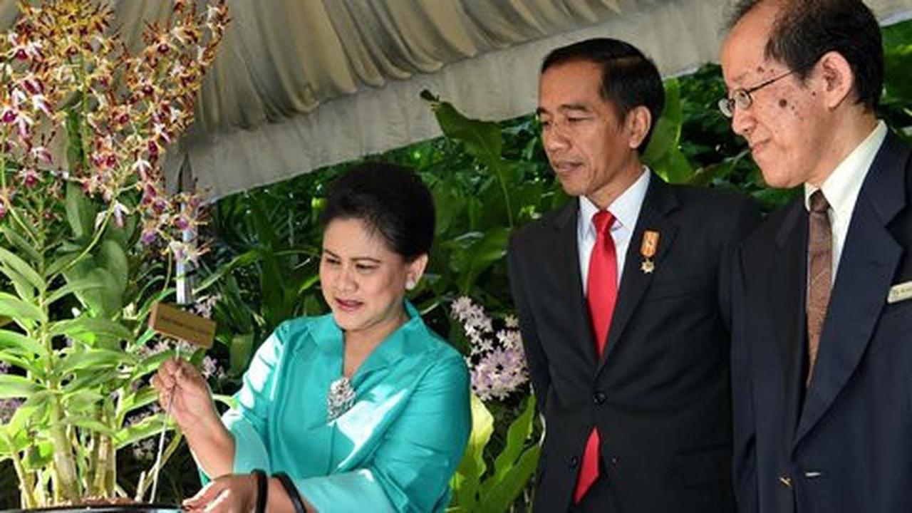 BPJS kesehatan dinyatakan haram, ini sikap Presiden Jokowi