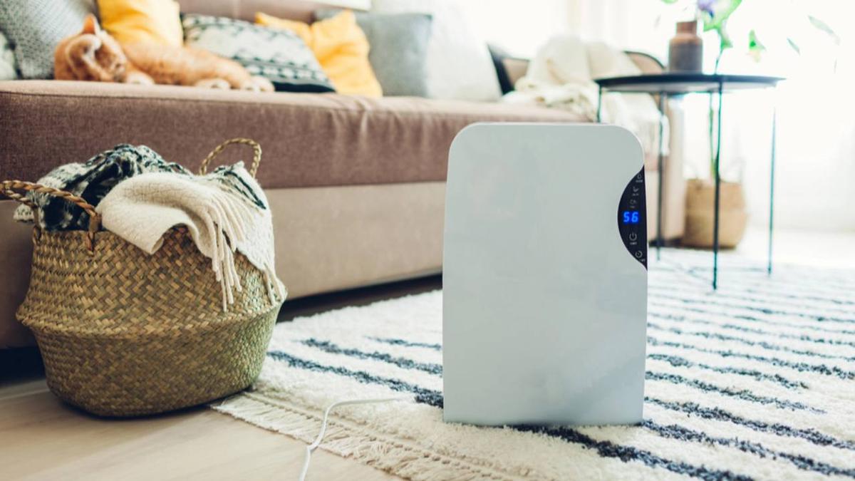 Rekomendasi Dehumidifer Terbaik agar Rumah Terasa Lebih Fresh dan Anti Pengap