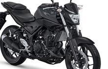 Cari Motor Naked Sport 250cc, Berikut Daftar Harga Yamaha MT-25 Bekas