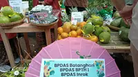 Asa Memulihkan Jutaan Hektare Lahan Kritis Lewat Semarak Pasar RHL 2025