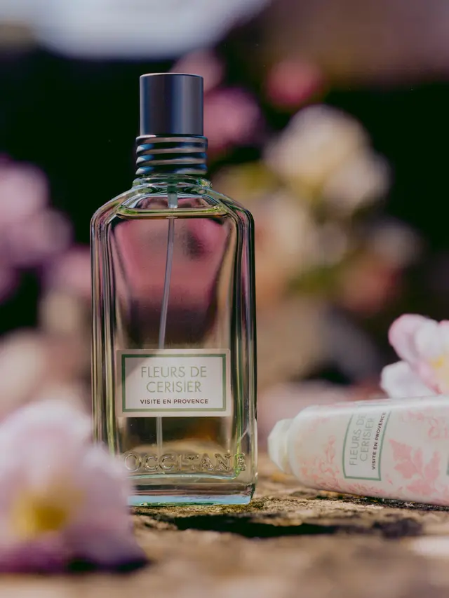Koleksi Terbatas Cherry Blossom Visite en Provence (photo by L'Occitane en Provence)