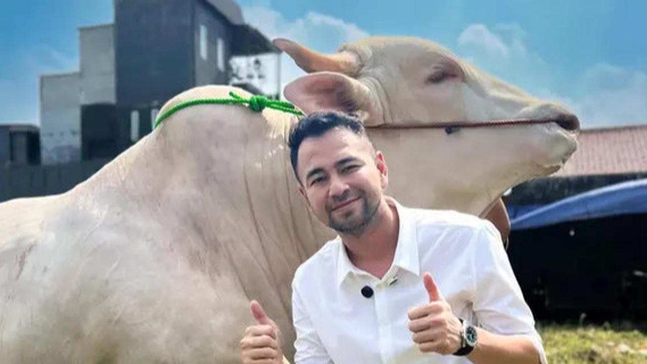 Tak Hanya Sapi Jumbo dari Irfan Hakim, Raffi Ahmad Juga Borong 50 Kambing dari Fadil Jaidi untuk Idul Adha