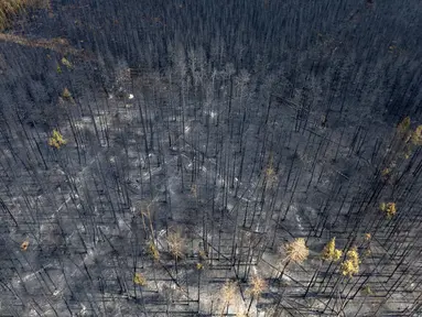 Lanskap yang terbakar akibat kebakaran hutan terlihat di dekat Entrance, area Wild Hay, Alberta, Kanada pada tanggal 10 Mei 2023. (Photo by Megan ALBU / AFP)