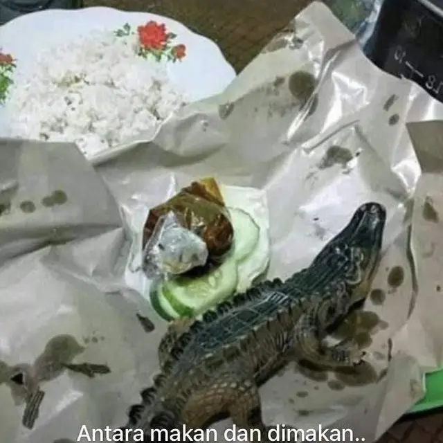 6 Potret Mainan Bentuk Makanan Ini Bikin Terkecoh, Jadi Gagal Ngiler