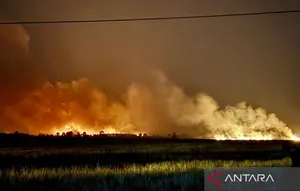 3.276 Hektare Hutan dan Lahan di Kalsel Terbakar