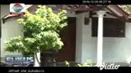 Bayi berusia 10 bulan di Kabupaten Probolinggo menjadi korban penyerangan monyet liar. Korban mengalami luka pada bagian kepala dan harus menjalani perawatan di Rumah Sakit dr Mohammad Saleh.