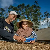 BRI Salurkan KUR Rp144,59 Triliun ke 2,76 Juta Debitur, Sektor Produksi Mendominasi