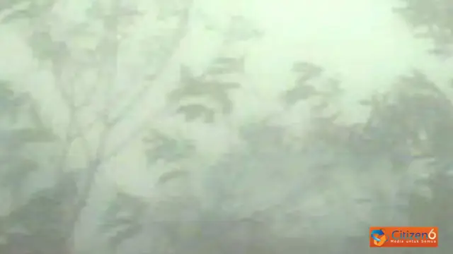 Kebakaran Hutan Dumai