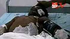 liputan6