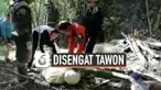Pemandu wisata Thailand, Sanchai Phaoarun tewas setelah disengat tawon raksasa. Insiden mengerikan itu terjadi saat ia membawa pasangan turis asal Prancis bertamasya di Chiang Mai.