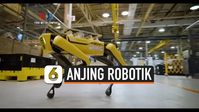 anjing robotik