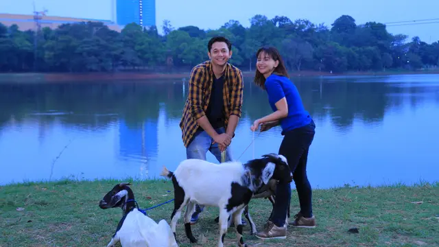 Unboxing Cinta Juragan Cinta