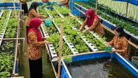 12 Inspirasi Program Pertanian Lestari untuk Ibu-ibu PKK, Wujudkan Ketahanan Pangan