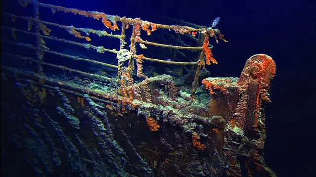 foto: copyright intheboatshed.net