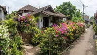 6 Ide Pagar Hidup dari Tanaman Berbunga di Rumah Perkampungan, Mudah Dirawat