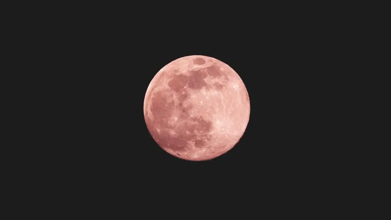 Ilustrasi pink moon di Jepang