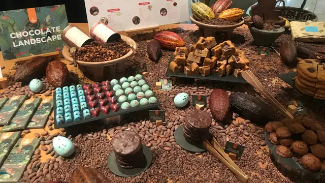 Ransiki cokelat asli Papua