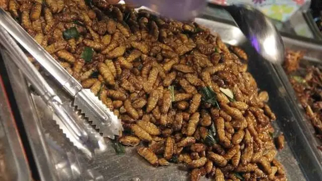 Kepompong Goreng