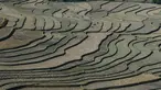 Sawah bertingkat terlihat di provinsi Yen Bai, Vietnam pada 29 November 2021. Terletak 300 km barat laut Hanoi, distrik Mu Cang Chai di Provinsi Yen Bai utara, sawah terasering telah menjadi destinasi wisata populer dengan turis asing dan lokal sebelum pandemi. (Nhac NGUYEN / AFP)