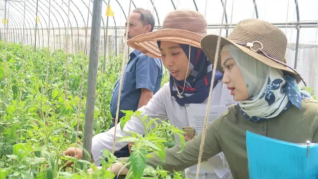 Top 3: Kementan Buka Lowongan Petani Milenial 2024 Gaji Rp 10 Juta per Bulan