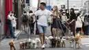 Petualang anjing profesional Nobuaki Moribe memimpin hewan peliharaan kliennya melintasi persimpangan di Tokyo (28/5/2021). Jepang memperpanjang keadaan darurat virus corona di Tokyo dan daerah lain selama 20 hari lagi pada hari Jumat. (AP Photo/Hiro Komae)