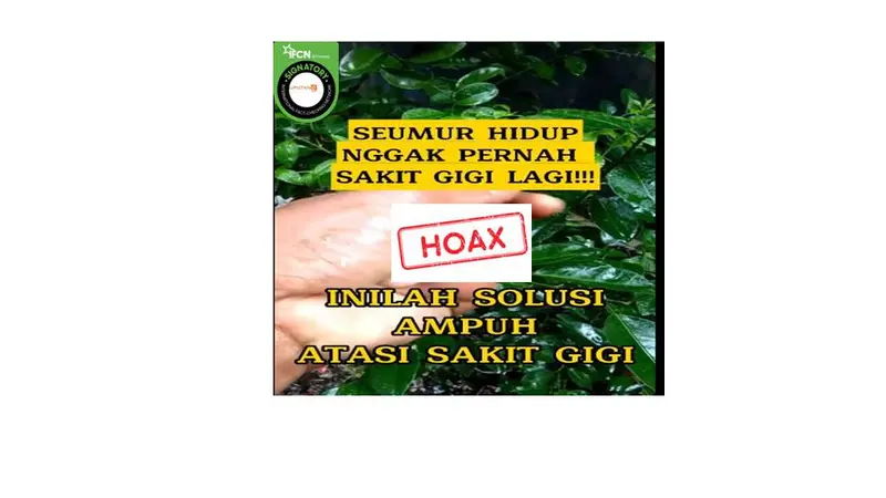 Cek fakta obat sakit gigi