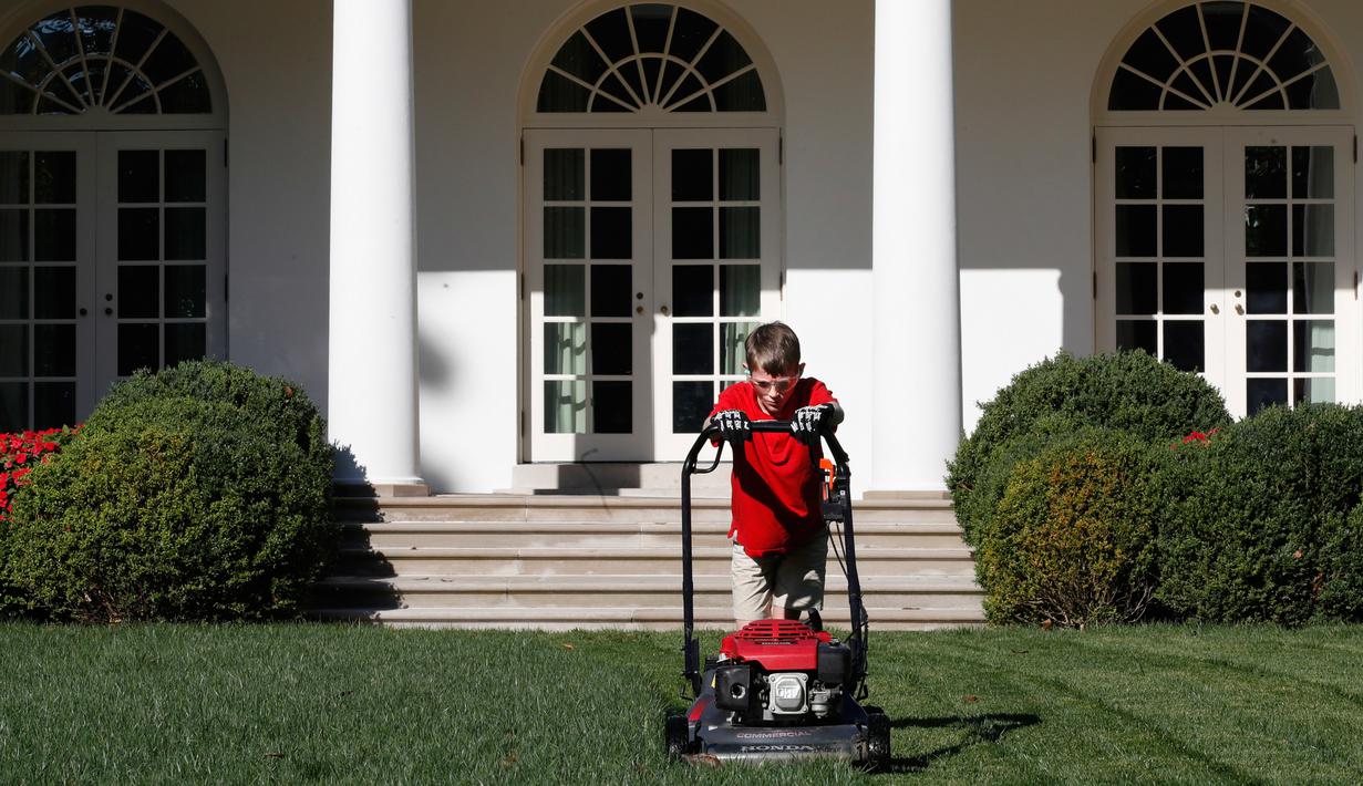 Anak laki-laki, Frank Giaccio mendorong mesin pemotong rumput di Rose Garden, Gedung Putih, Jumat (15/9). Frank yang sangat mengagumi bisnis yang dijalankan Donald Trump itu sedang menjalankan bisnis perawatan rumah bersama ayahnya. (AP/Jacquelyn Martin)