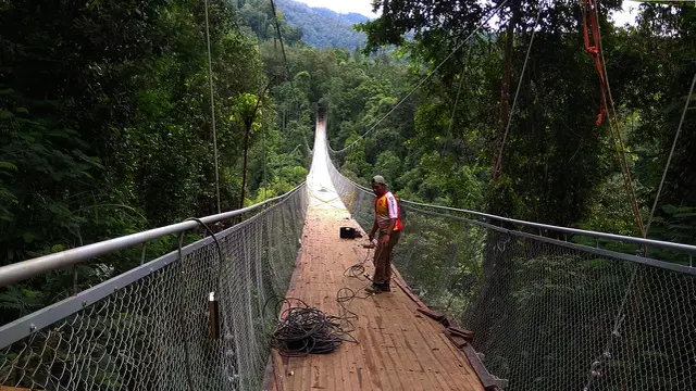 Jembatan gantung