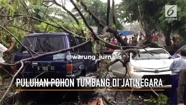VIDEO: Puluhan Pohon Tumbang di Jatinegara