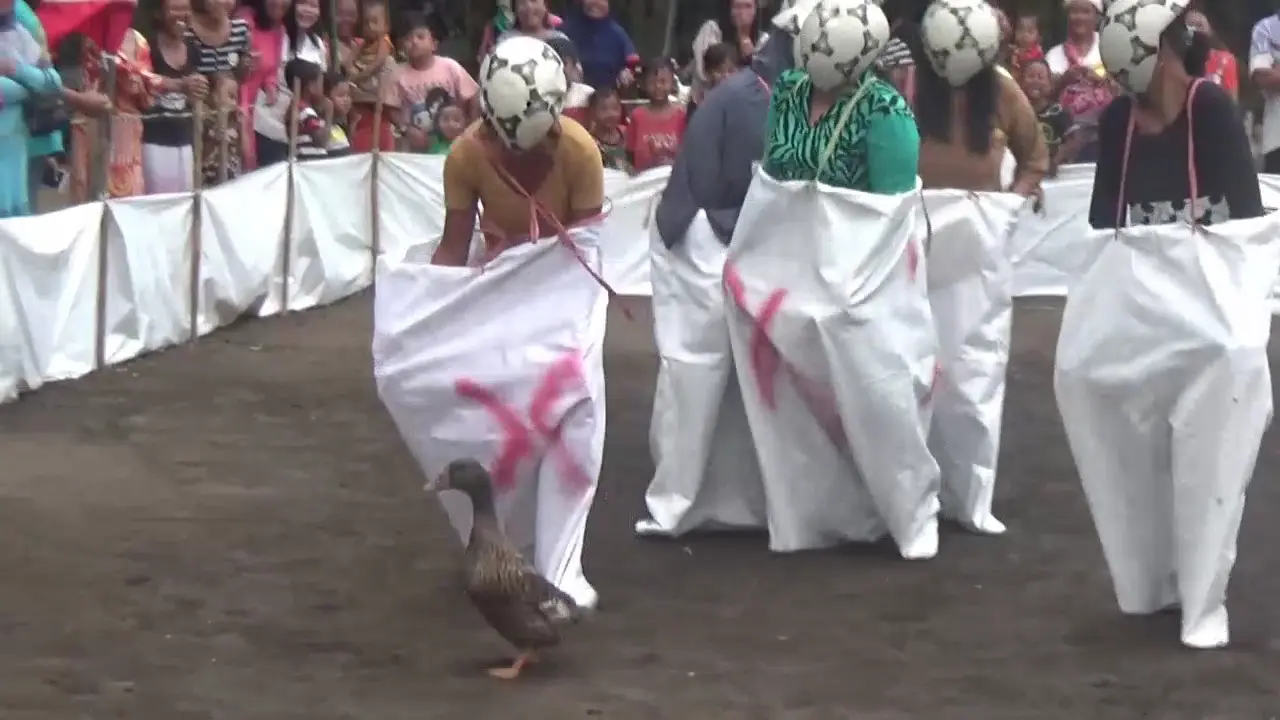 Sepak bola bebek.