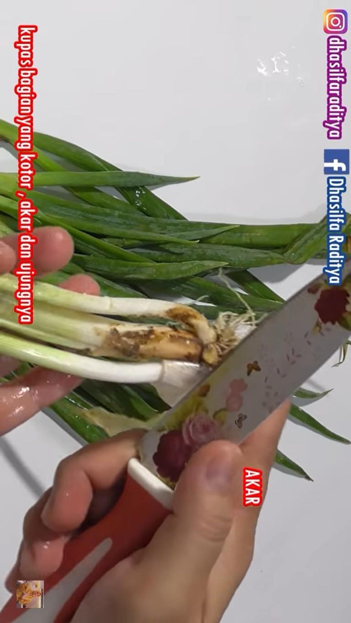 Kupas Bagian Akar Daun Bawang