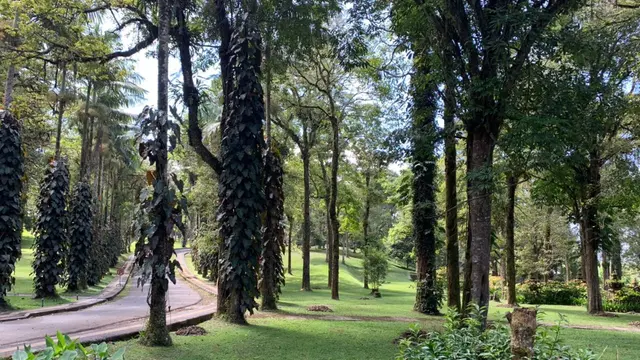 Kebun Raya Bedugul