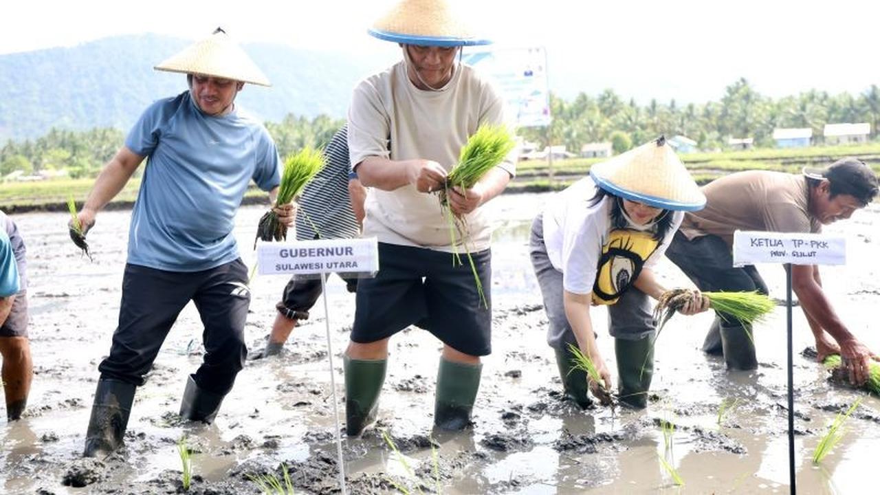 Pemprov Sulut Genjot Produksi Pangan dengan Distribusi Lahan Pertanian 2.000 Hektare