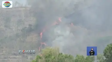 Tujuh hektar lahan hutan Gunung Kebo, Trenggalek, terbakar. Petugas belum mengetahui penyebab kebakaran.