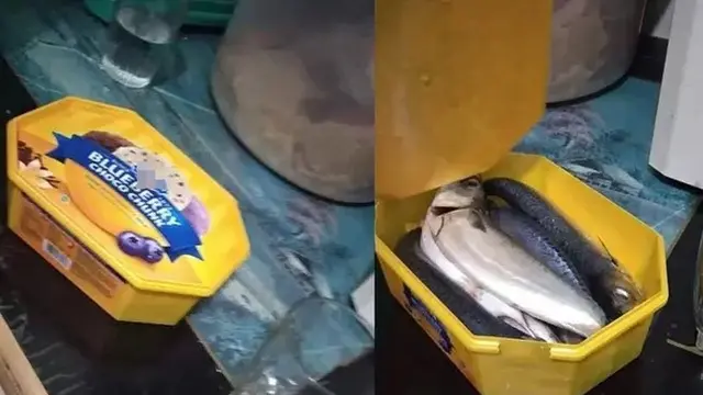 Kena Prank, 6 Potret Makanan Dalam Kemasan Ini Tak Sesuai Ekspektasi