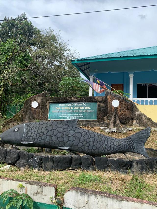 Wisata Fish Spa di Sungai Luanti, Ranau, Sabah, Malaysia.