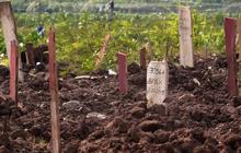 Misteri jahitan di jasad Mr X