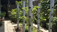 9 Desain Kebun Cabai Pakai Pipa Paralon Vertikal Anti Ribet, Panen Melimpah di Lahan Sempit