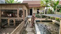 9 Desain Kandang Ayam dan Kolam Lele dalam Satu Lahan untuk Rumah Kecil