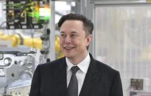 Di Balik Jamuan Mewah Trump untuk Xi Jinping yang Dihadiri Elon Musk cs