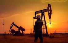 Harga Minyak Dunia Stabil di Level Tinggi Tanggapi Ketegangan AS–Iran