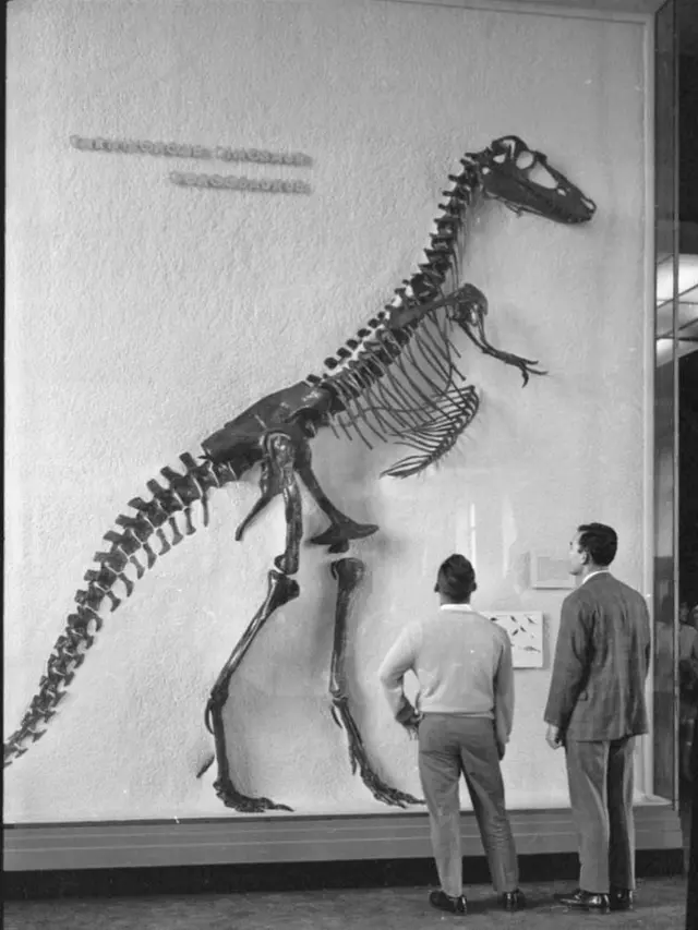 Museum Ikonis di Amerika Buang 12 Ribu Koleksi Kerangka Manusia, Apa Sebabnya?