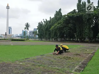 Petugas membersihkan taman di kawasan Monas, Jakarta, Rabu (23/1). DPRD meminta Pemprov DKI Jakarta untuk menjaga keamanan pengunjung saat dilakukan penataan. (Liputan6.com/Herman Zakharia)