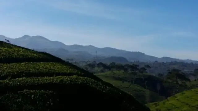 Kaki Gunung Batu Ciwidey