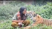 Kisah Persahabatan Abdul Soleh dan Harimau Bernama Mulan Jamilah