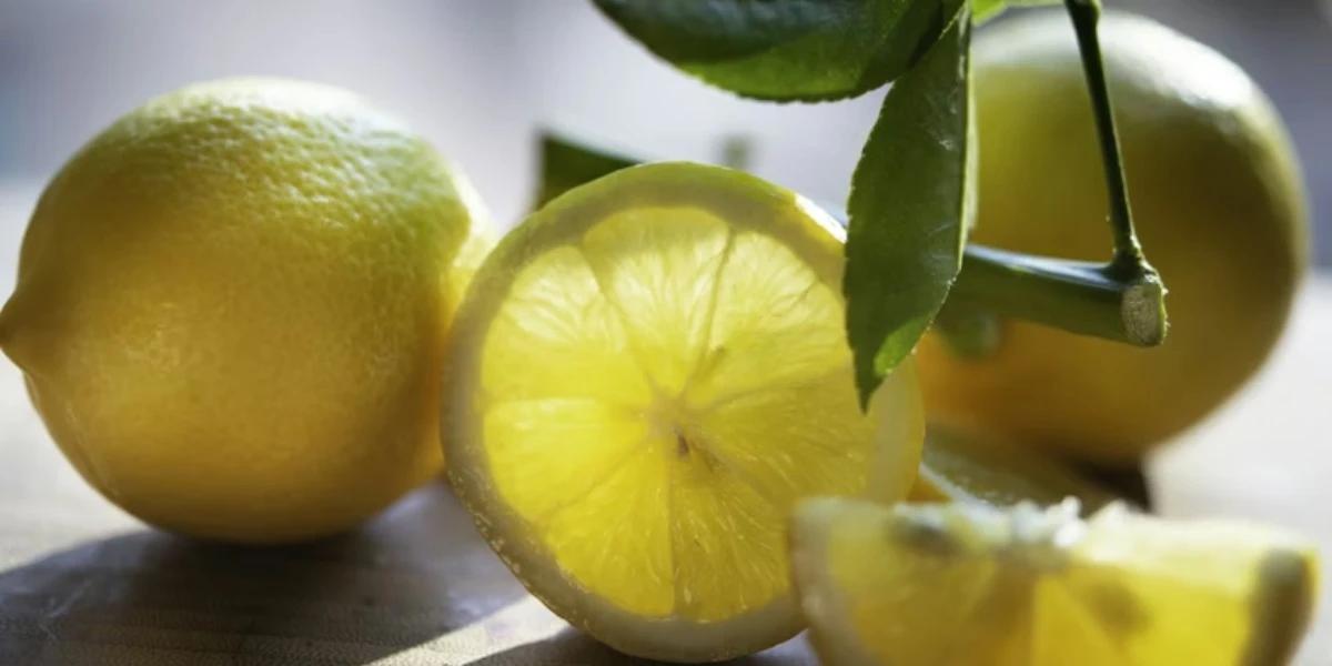 Ilustrasi Lemon