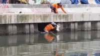 Dua orang petugas kebersihan tertangkap kamera rela masuk ke sungai demi menyelamatkan kucing yang nyaris tenggelam