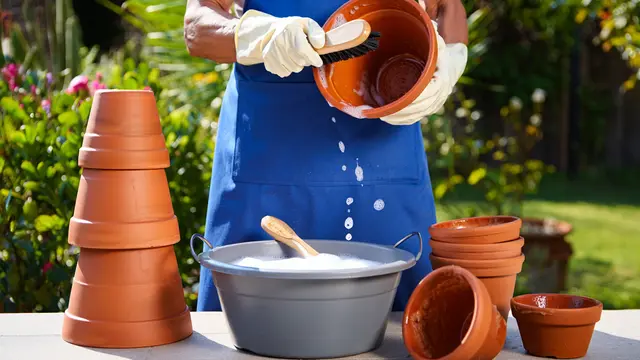 Anakan ular masuk pot tanaman (Foto: Reve Art AI)